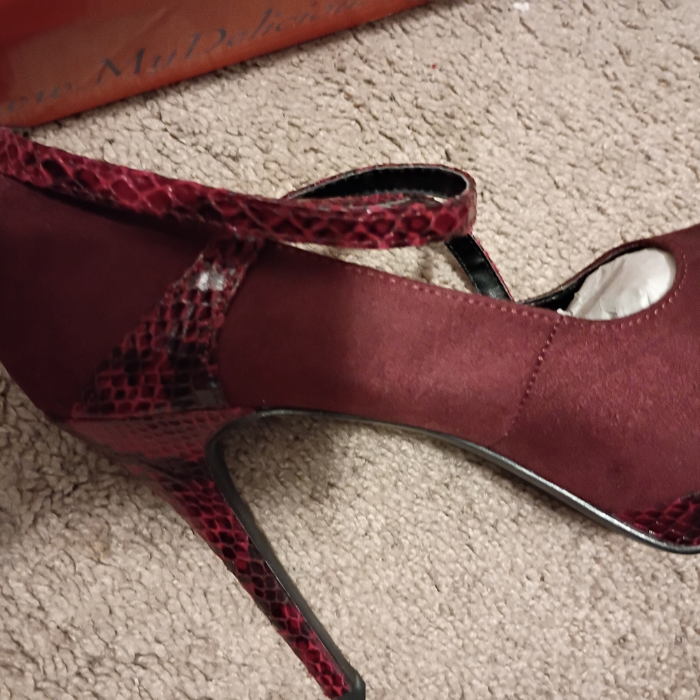 Delicious Burgundy and Snakeskin Heels